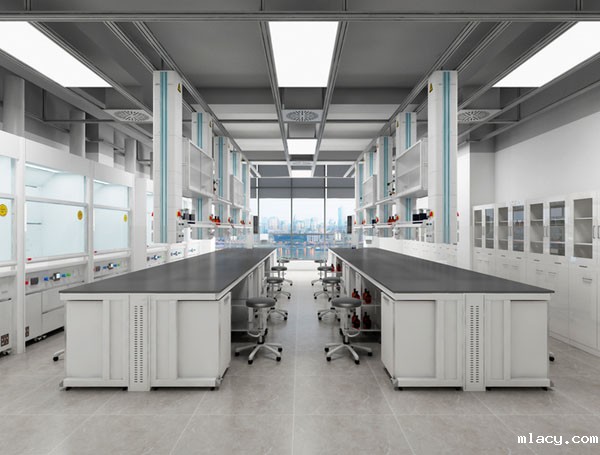 武汉理化伟德平台