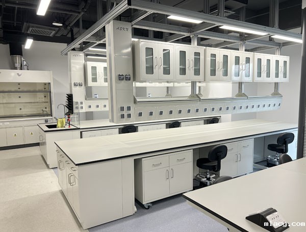 武汉学校伟德平台