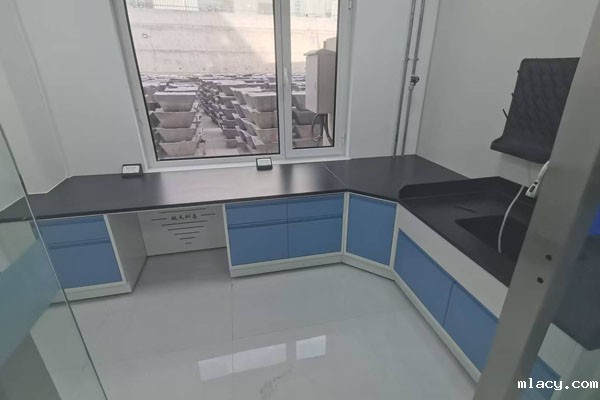 实验室建设思路与规划方案