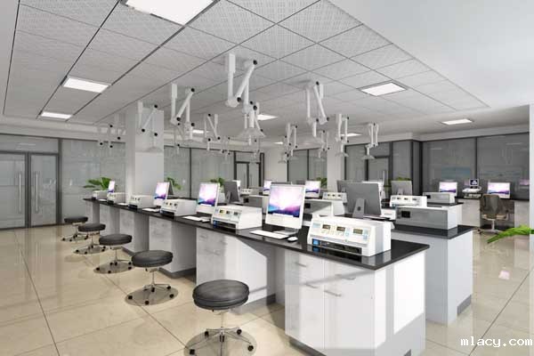 电子伟德平台说明怎么写?