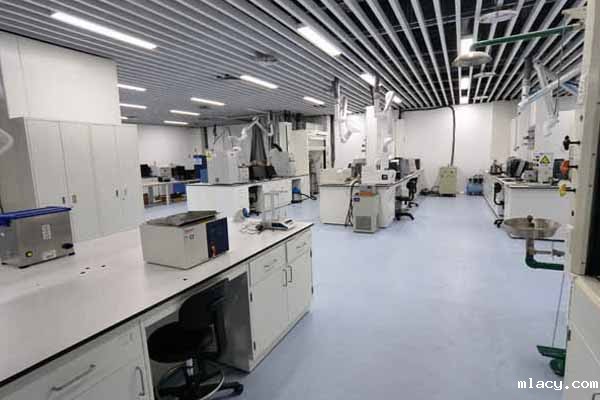 实验室检查有哪些项目